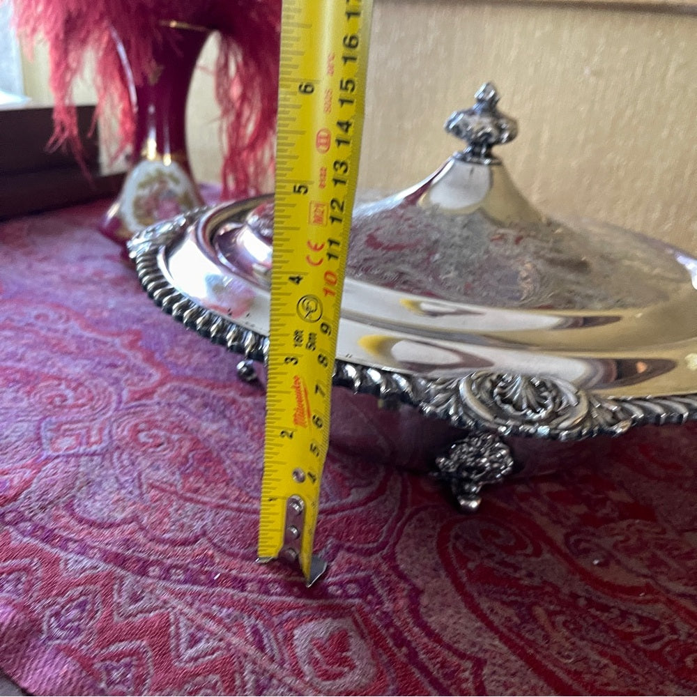 Silver serving bowl