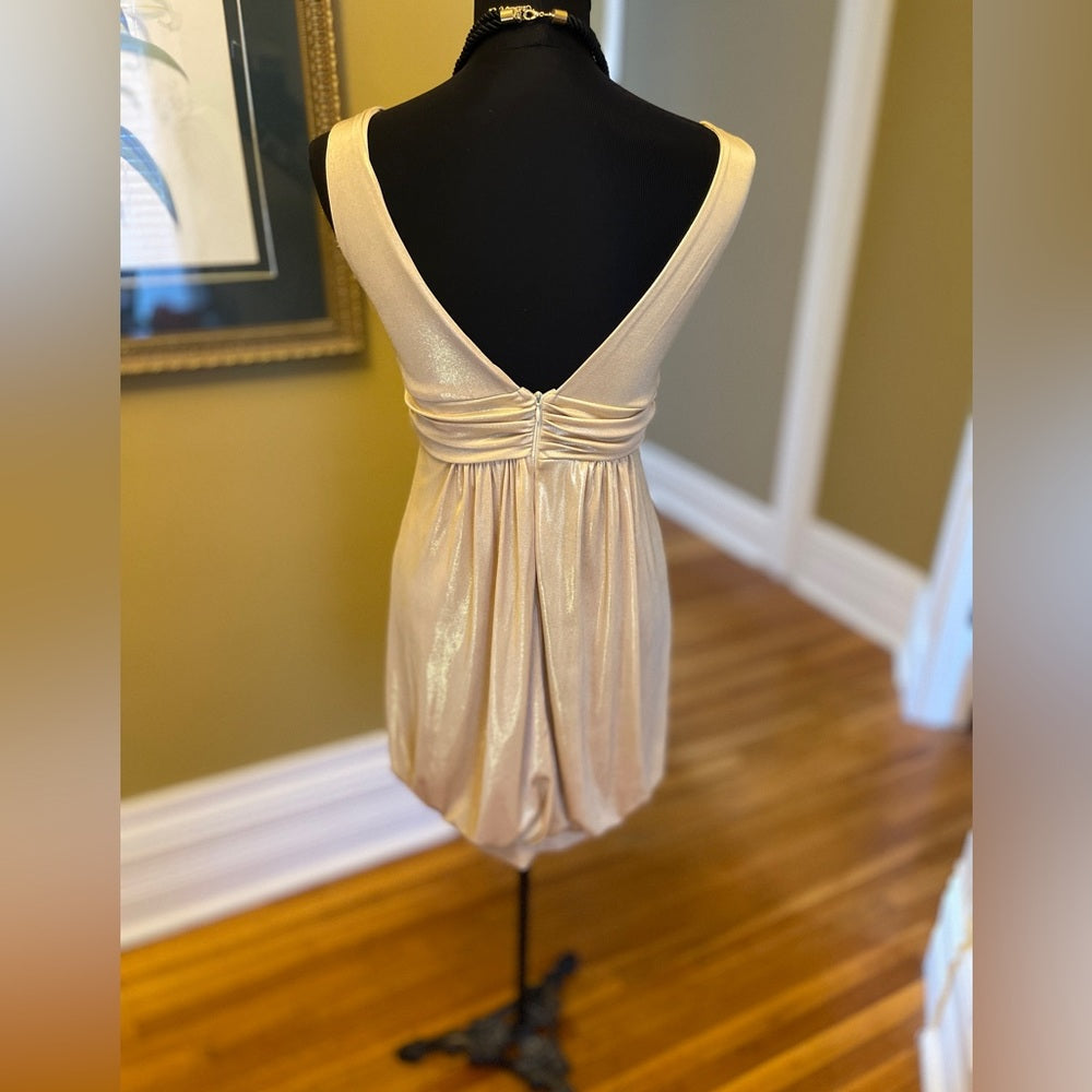 Marilyn Monroe style dress